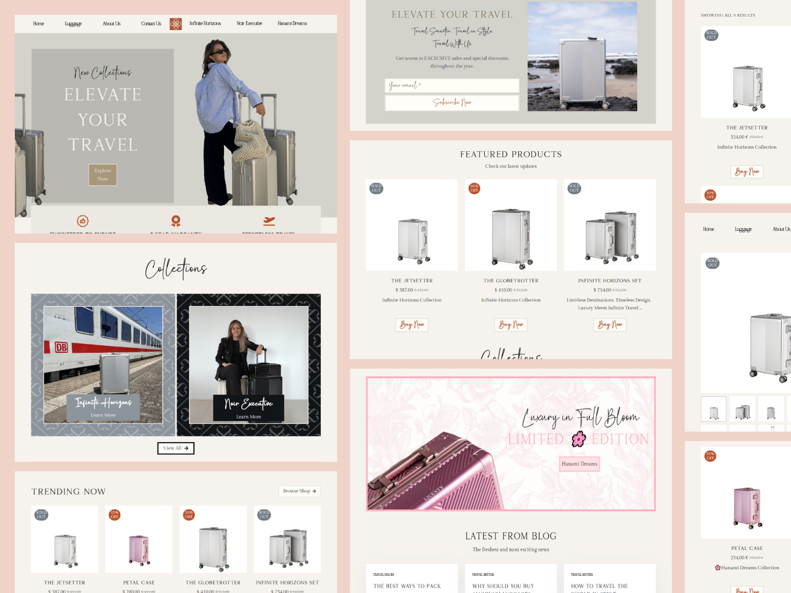 Example of Ecommerce Store – Starting At $799