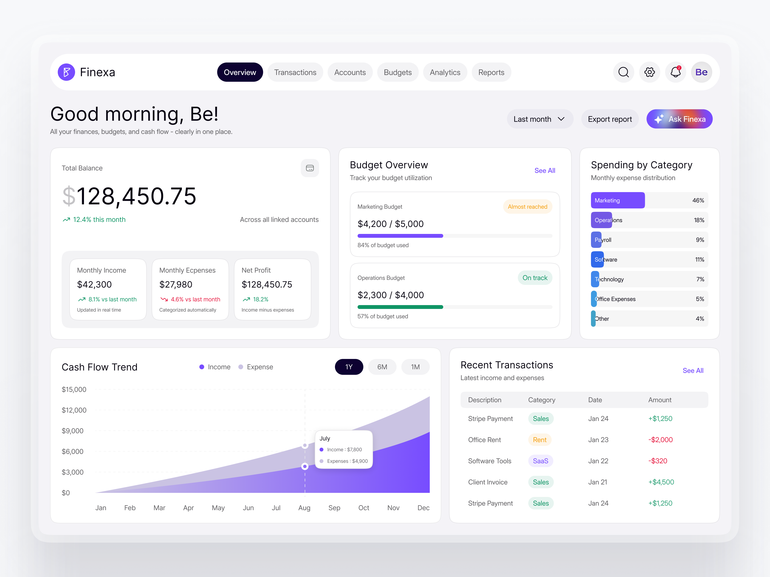 Finexa – Finance & Budget Management Dashboard UIUX Design interface product service startup ui ux web