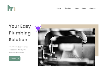 Plumb - UI Design for the Plumbing Business Website branding dental webiste design illustration landingpage design logo modern website design open to work plumbing website ui