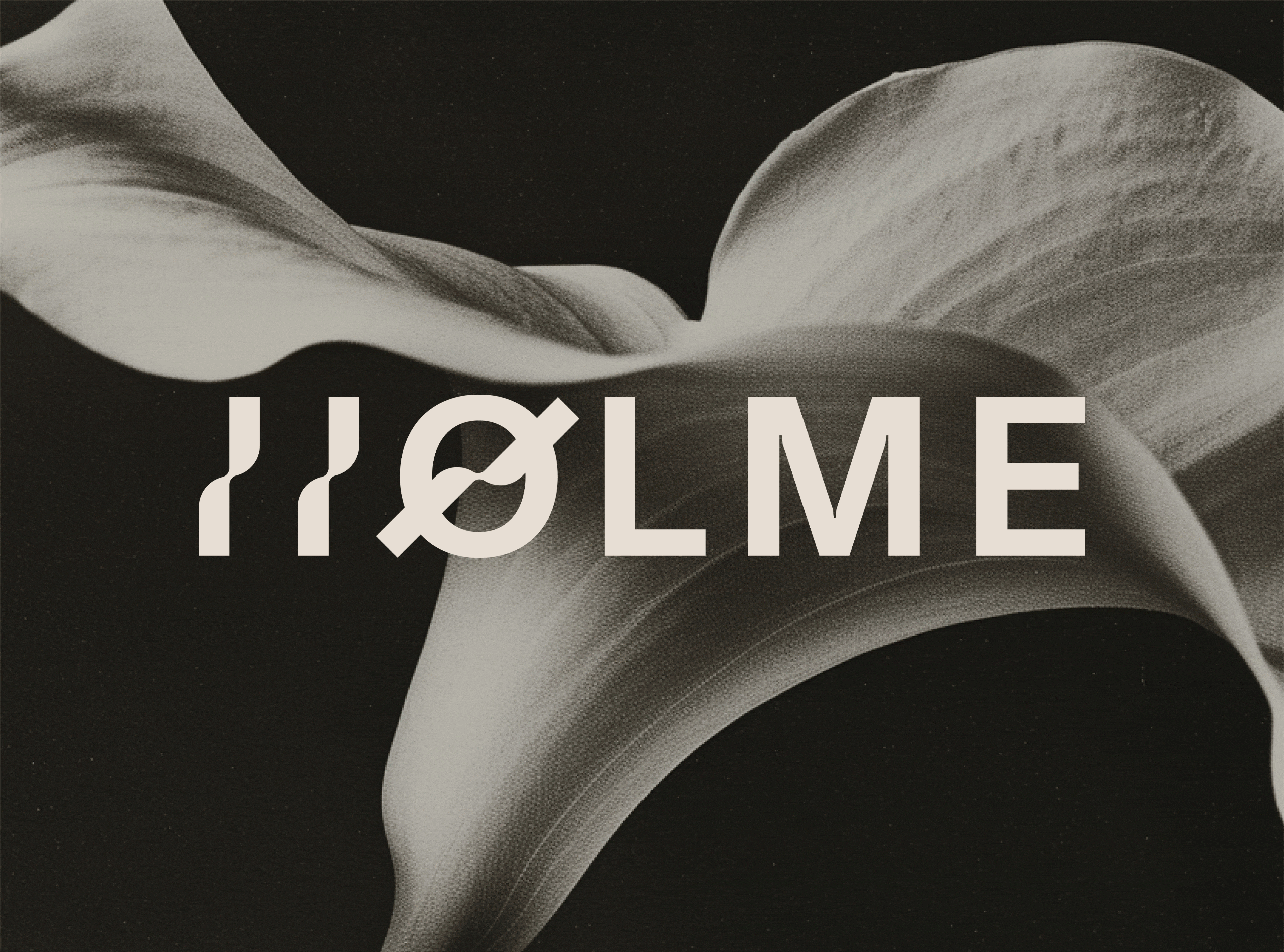 Example of HOLME — Branding & Packaging Design