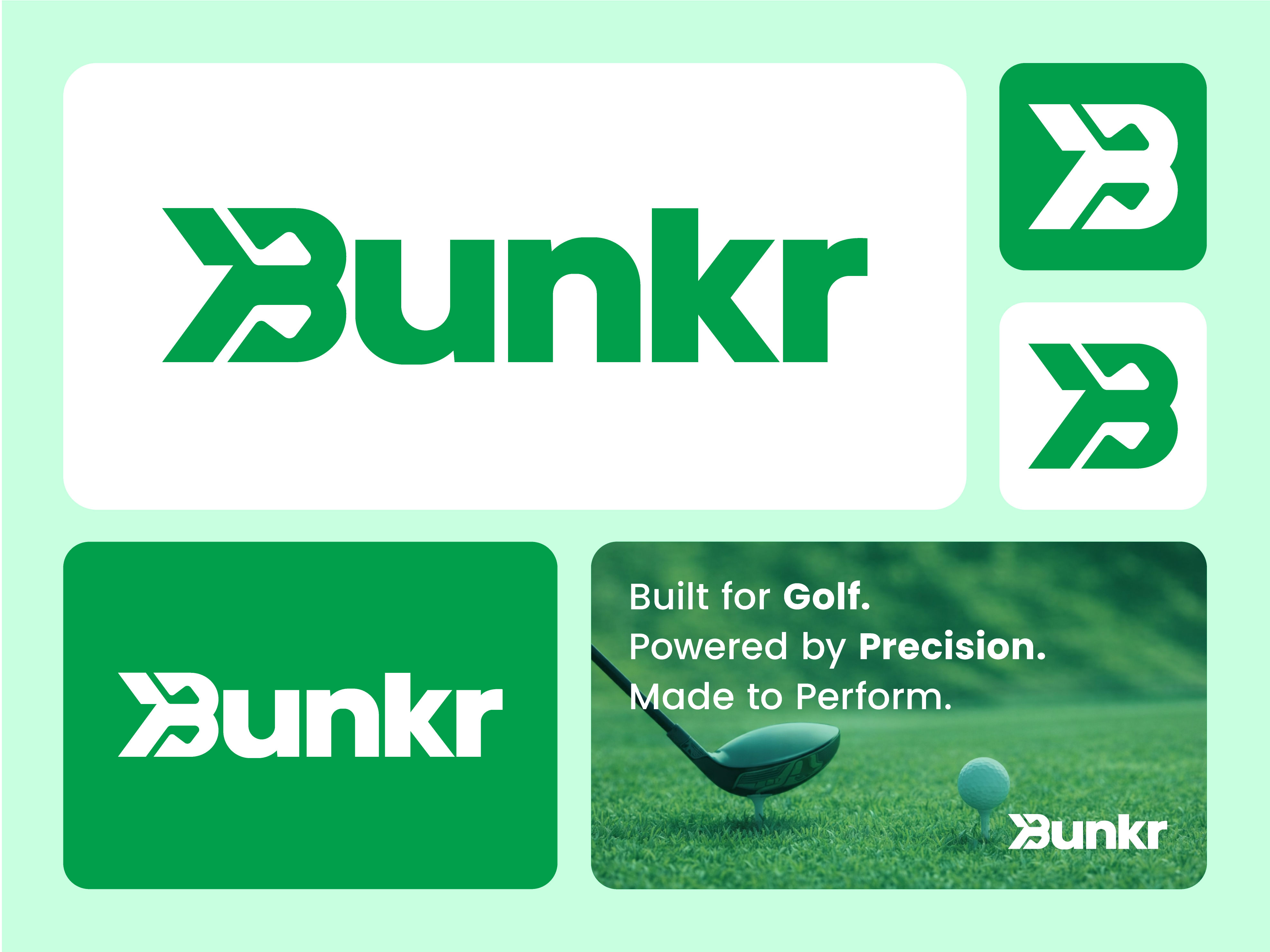 Example of Premium Logo Design Package