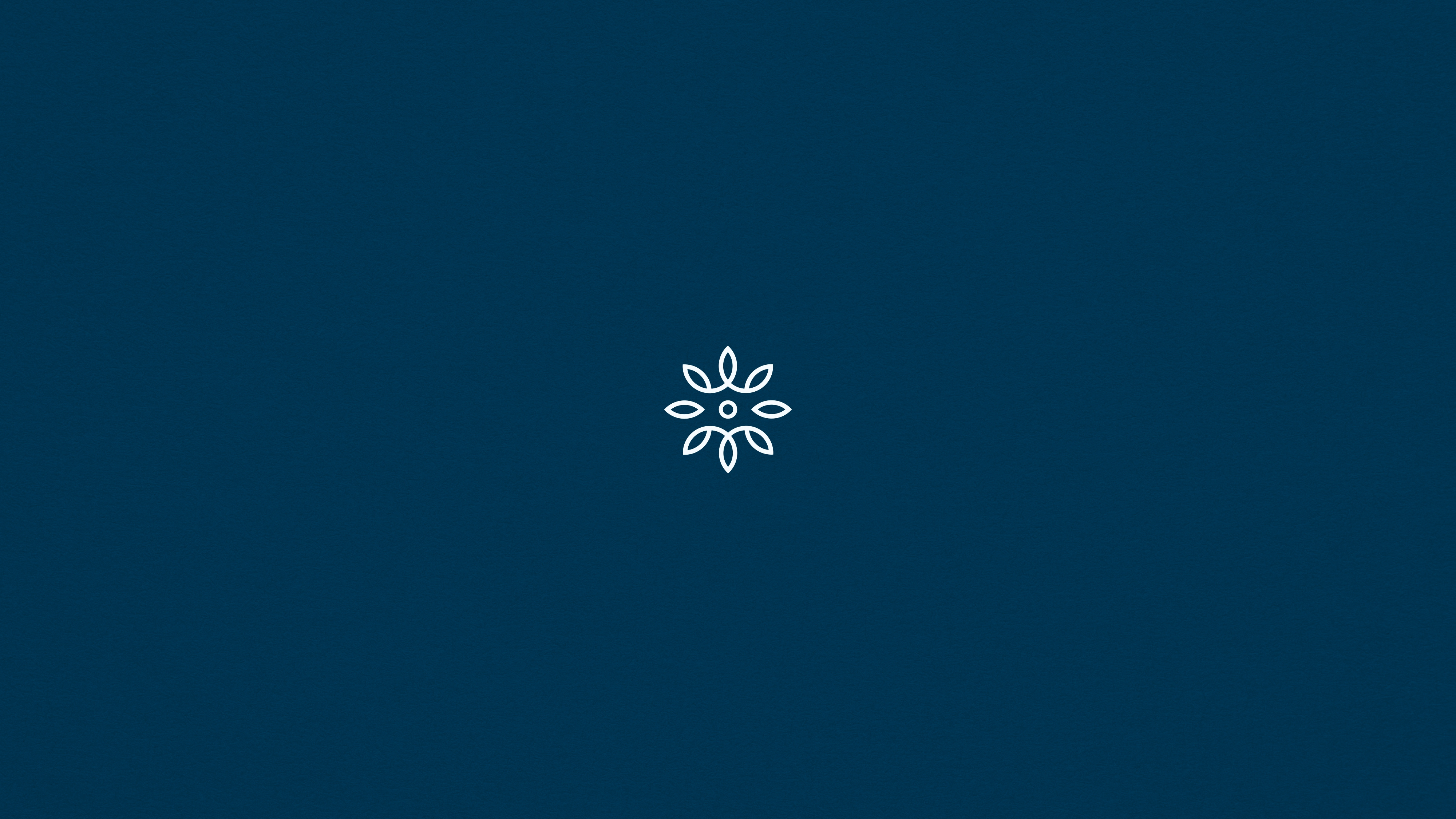 Wintergreen - Visual Identity botanical branding elegant branding flower logo holistic wellness hospitality branding korean wellness letter w logo logo design luxury branding luxury spa mind and body open hands person meditating relaxation selfcare spa design spa experience two crowns wellness brand wellness retreat