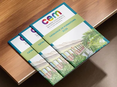 Graphic Design // CEM St Barth branding graphic design illustration