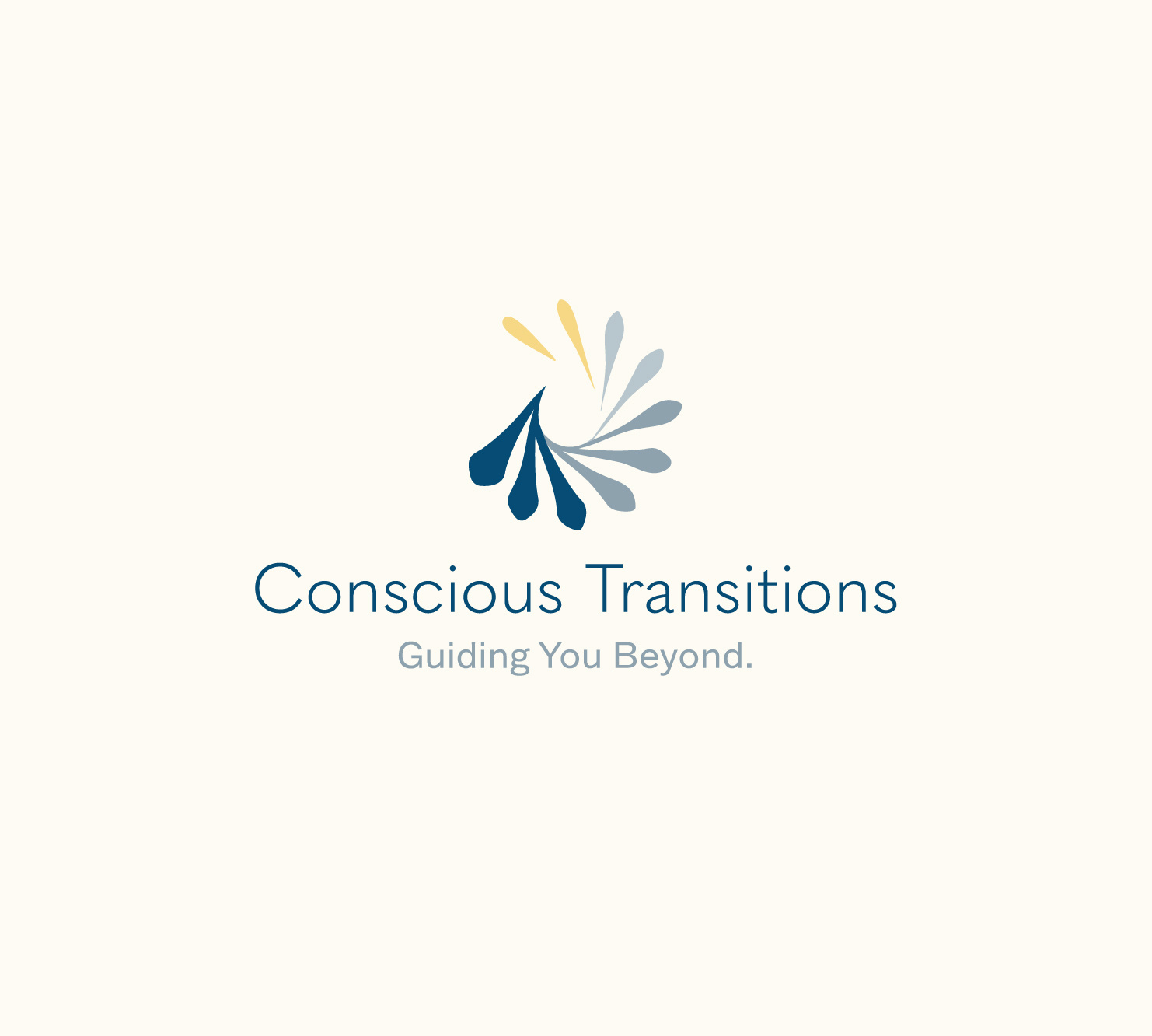 Conscious Transitions Brand Identity + Website