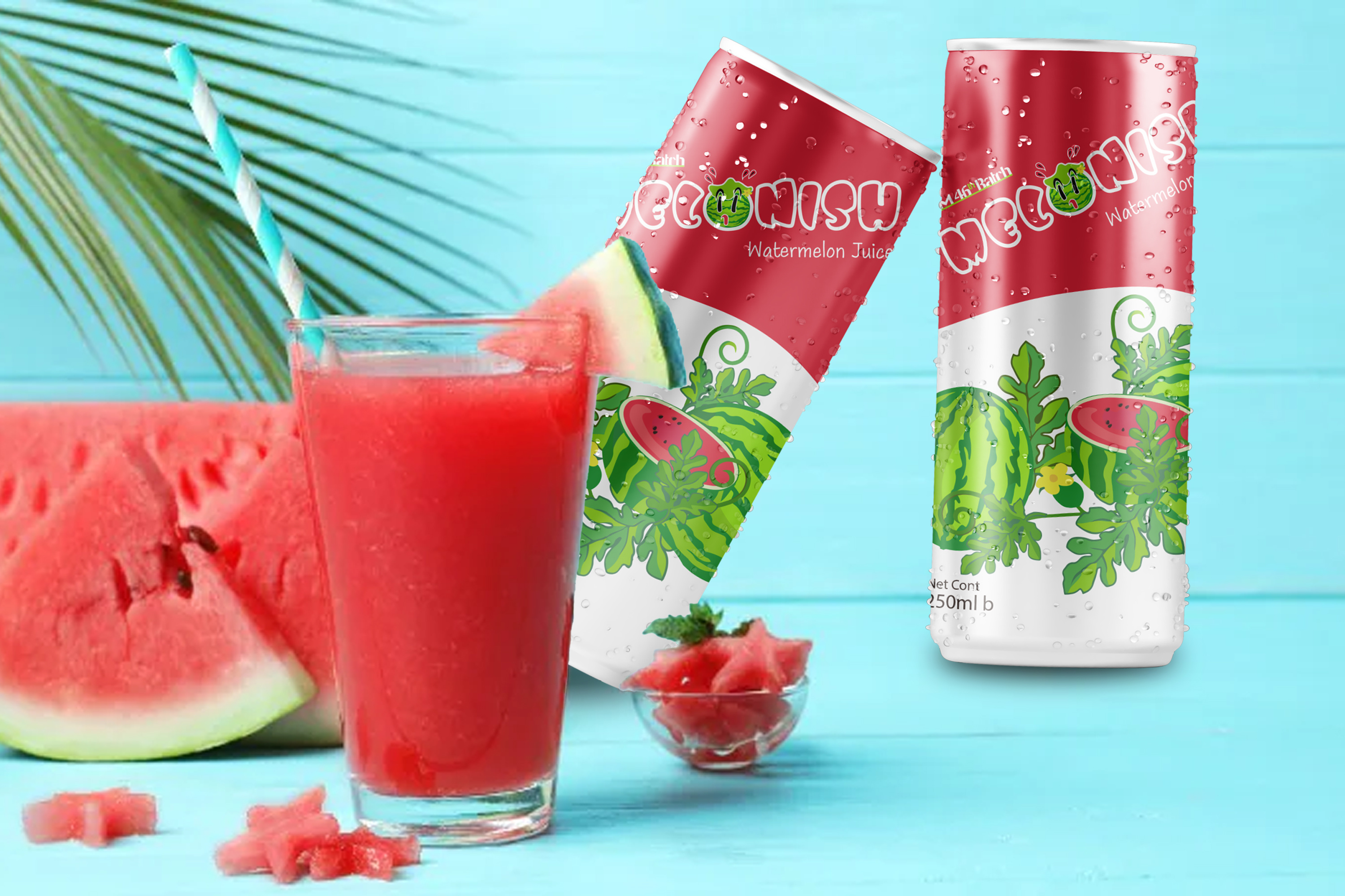 Can Design branding can design design graphic design illustrator logo vector watermelon wot