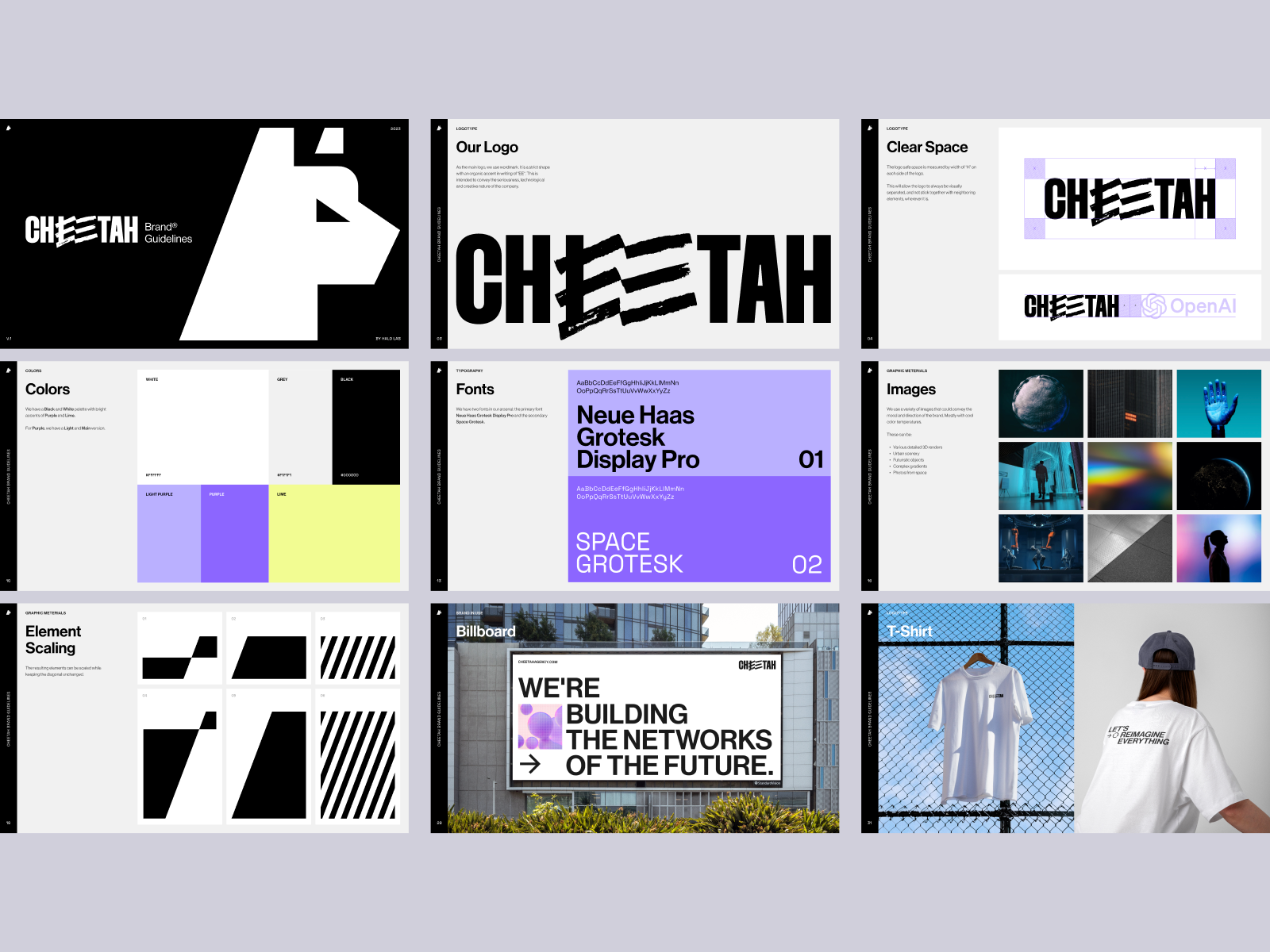 Example of Cheetah Agency - Branding Case Study