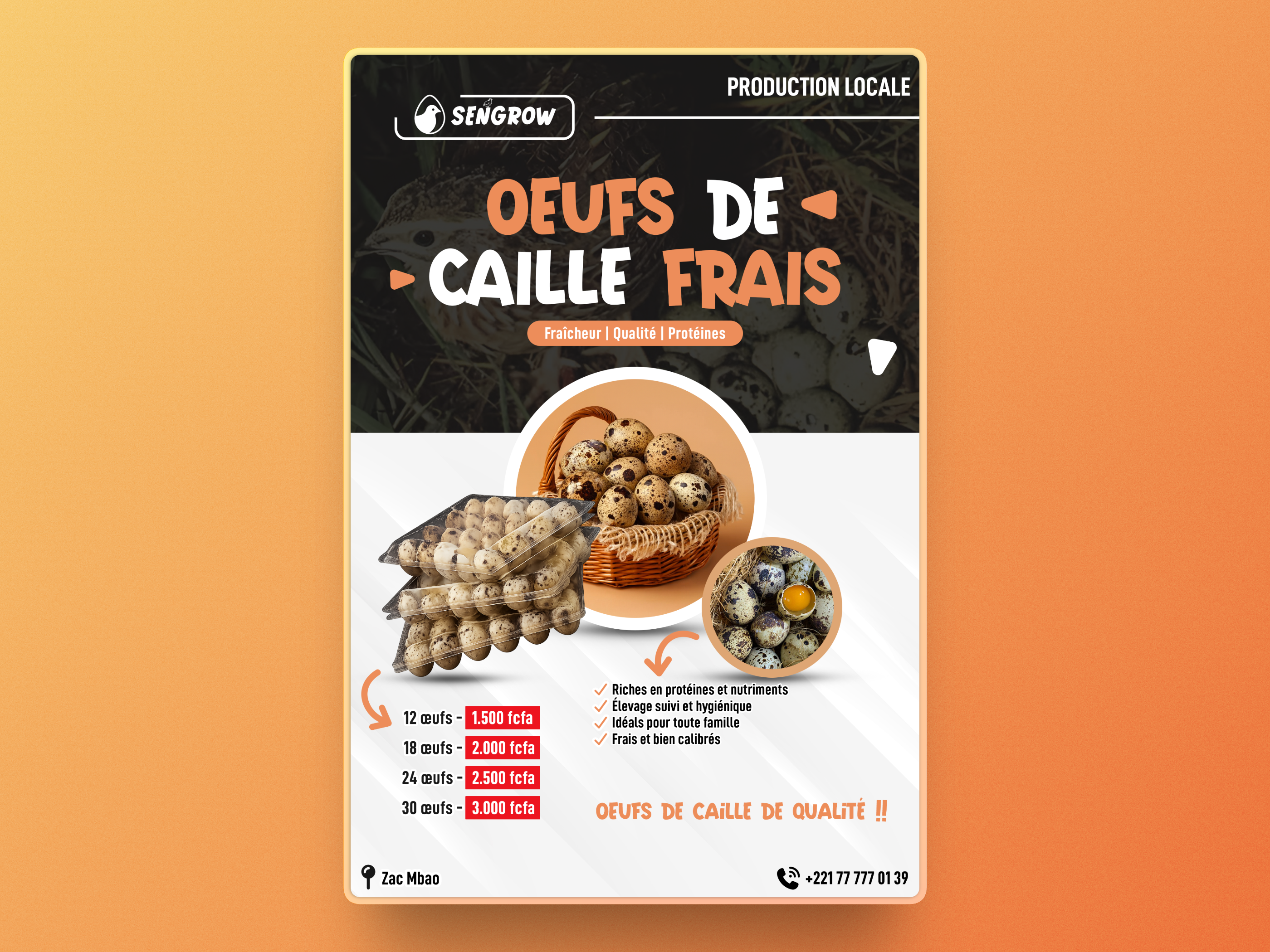 Example of Fresh Quail Eggs – Promotional Flyer Design
