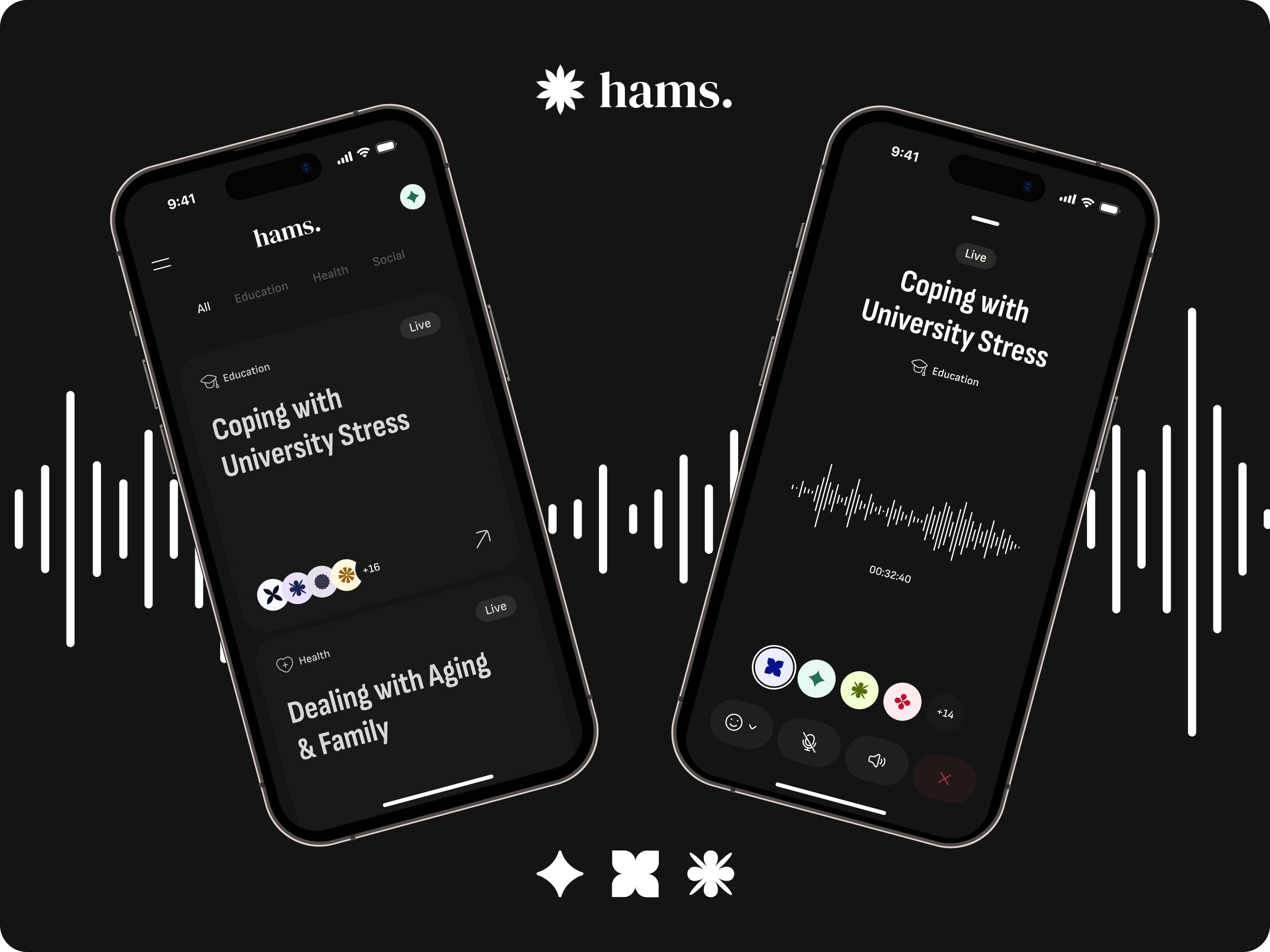 Hams. / Concept