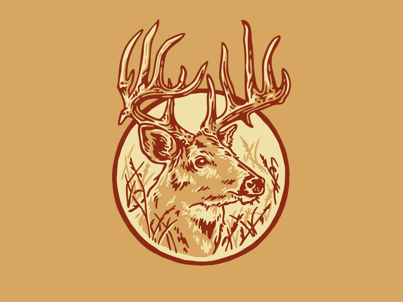 Example of Amigo Buck