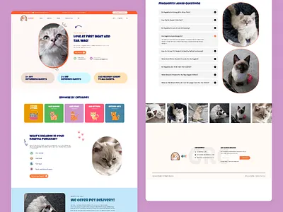 Cat Adoption Website app app design cat selling website cat website design pet selling pet shop pet website ui ui ux ui ux design website design website ui