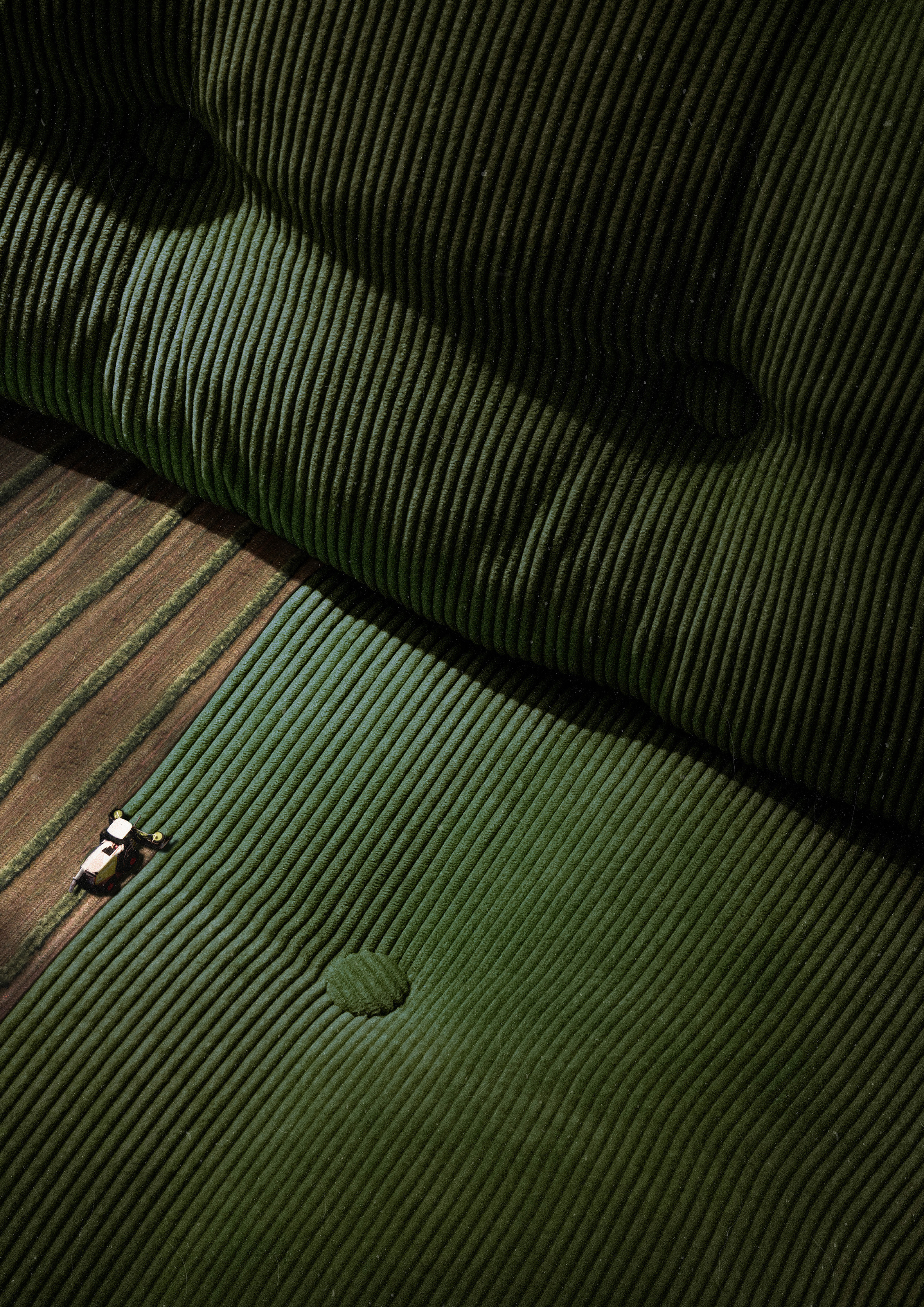 harvest album cover book cover collage cover design design digital art graphic design illustration poster 그래픽디자인 꼴라주 꼴라쥬 콜라주 콜라쥬 포스터