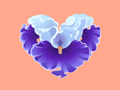 Love Botanicals Iris design editorial flowers gradients illustration logo typography vector
