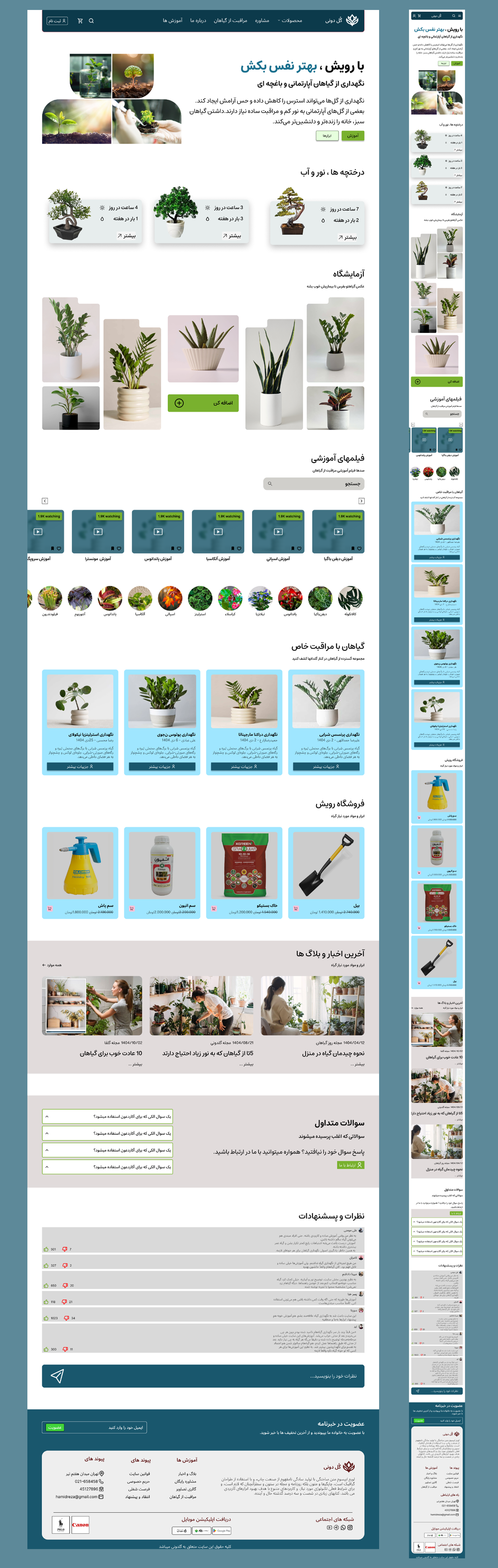Plant Care Web Design education green minimal modern plantcare ui ux webdesign website