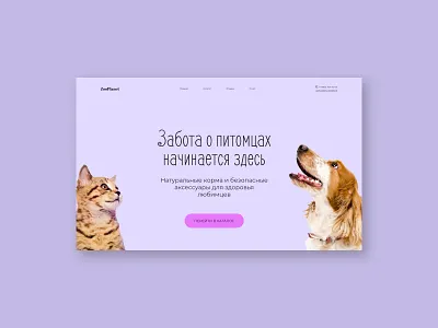 Homepage Design Concept | Pet Store design graphic design illustration typography ui ux