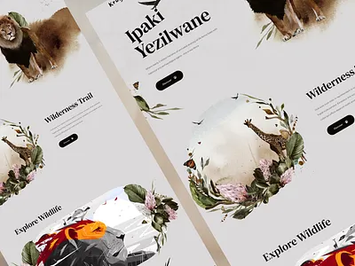 African Safari Exploration #2 agency animals clean figma giraffe homepage landing page lion park safari ui ux web design website
