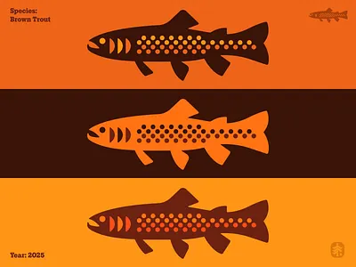 Brown trout angler brown trout dots fin fish fishing fly fishing fresh water gills icon illustration logo nature outdoors salmon spotted symbol trout