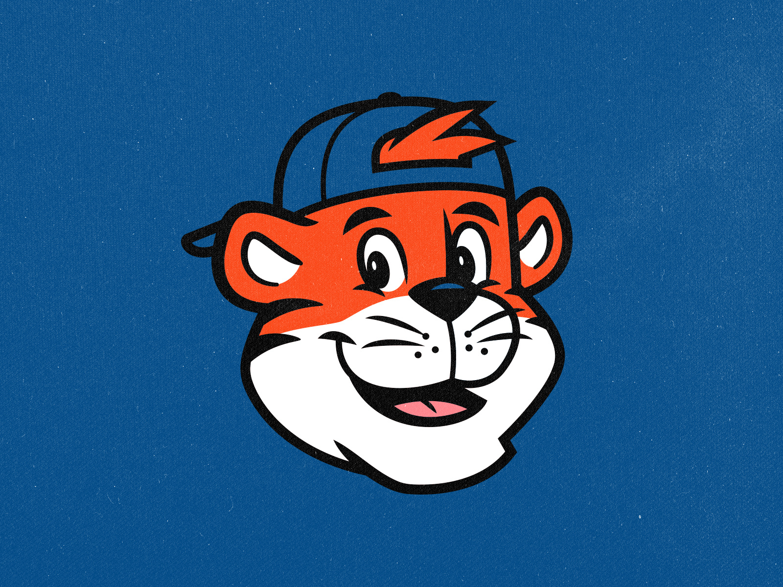 Southpaw baseball detroit lakeland tigers