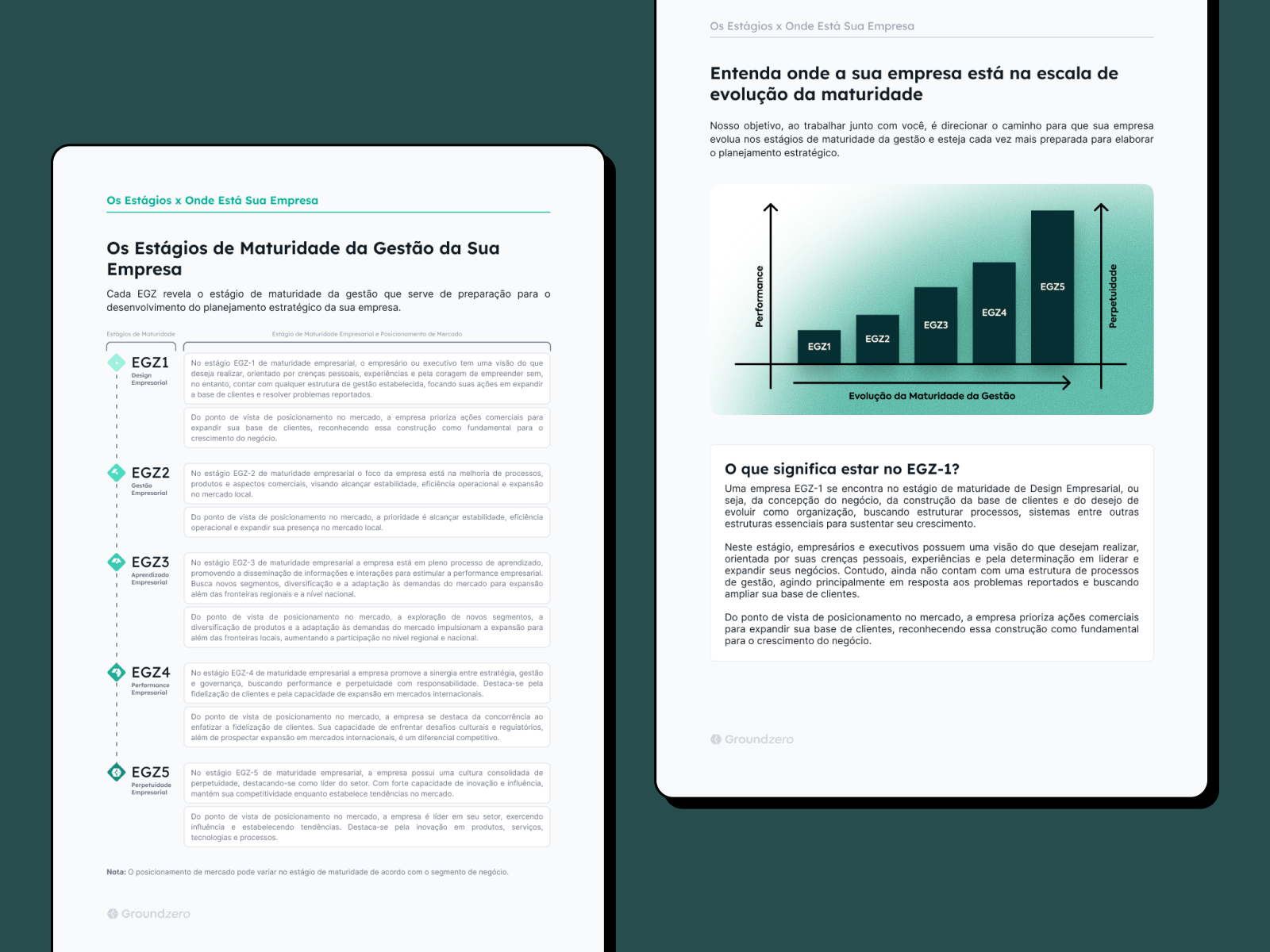 Example of Digital Reports & Presentations Design