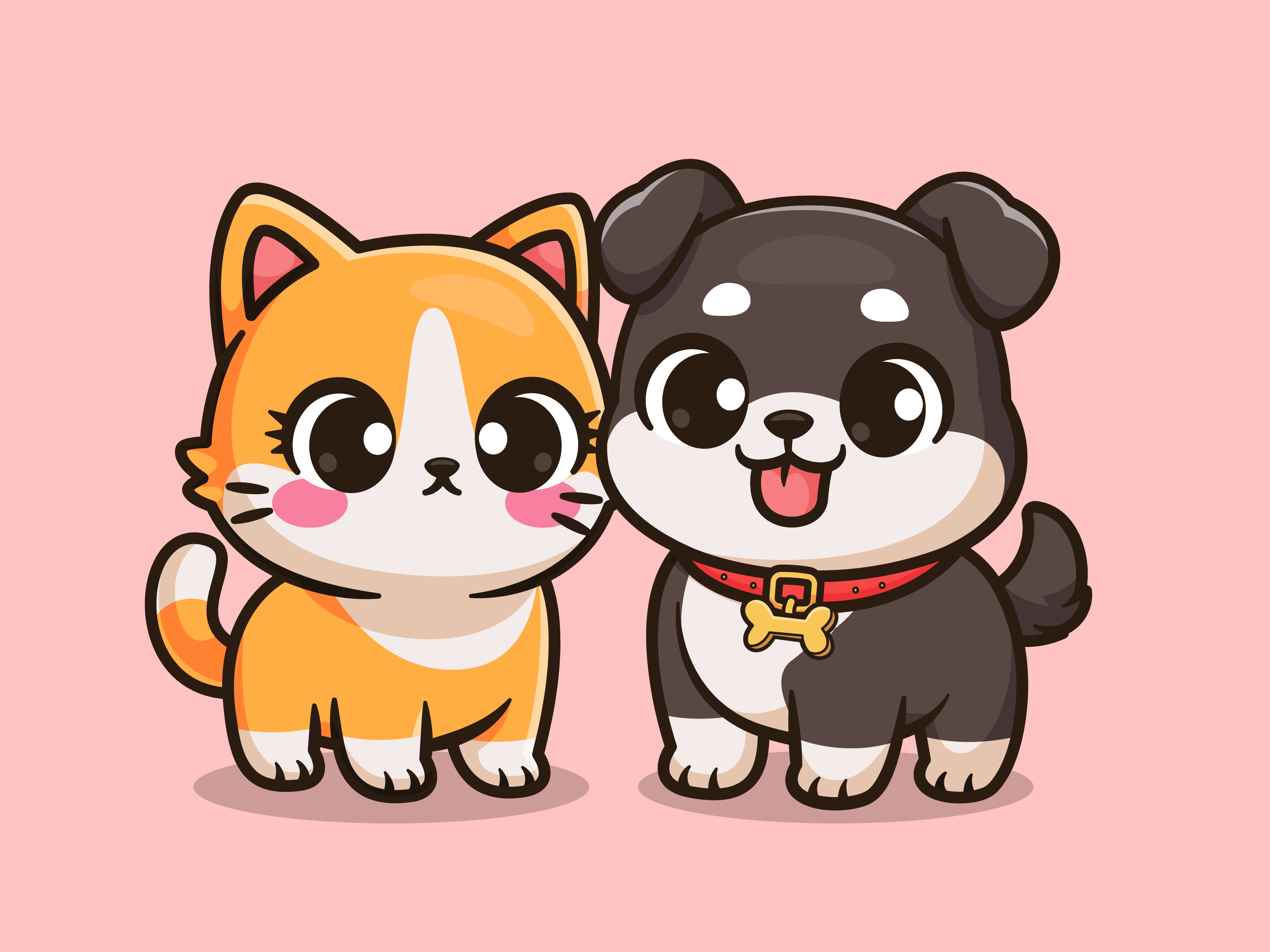 Example of Cat and Dog Couple🐱🐶