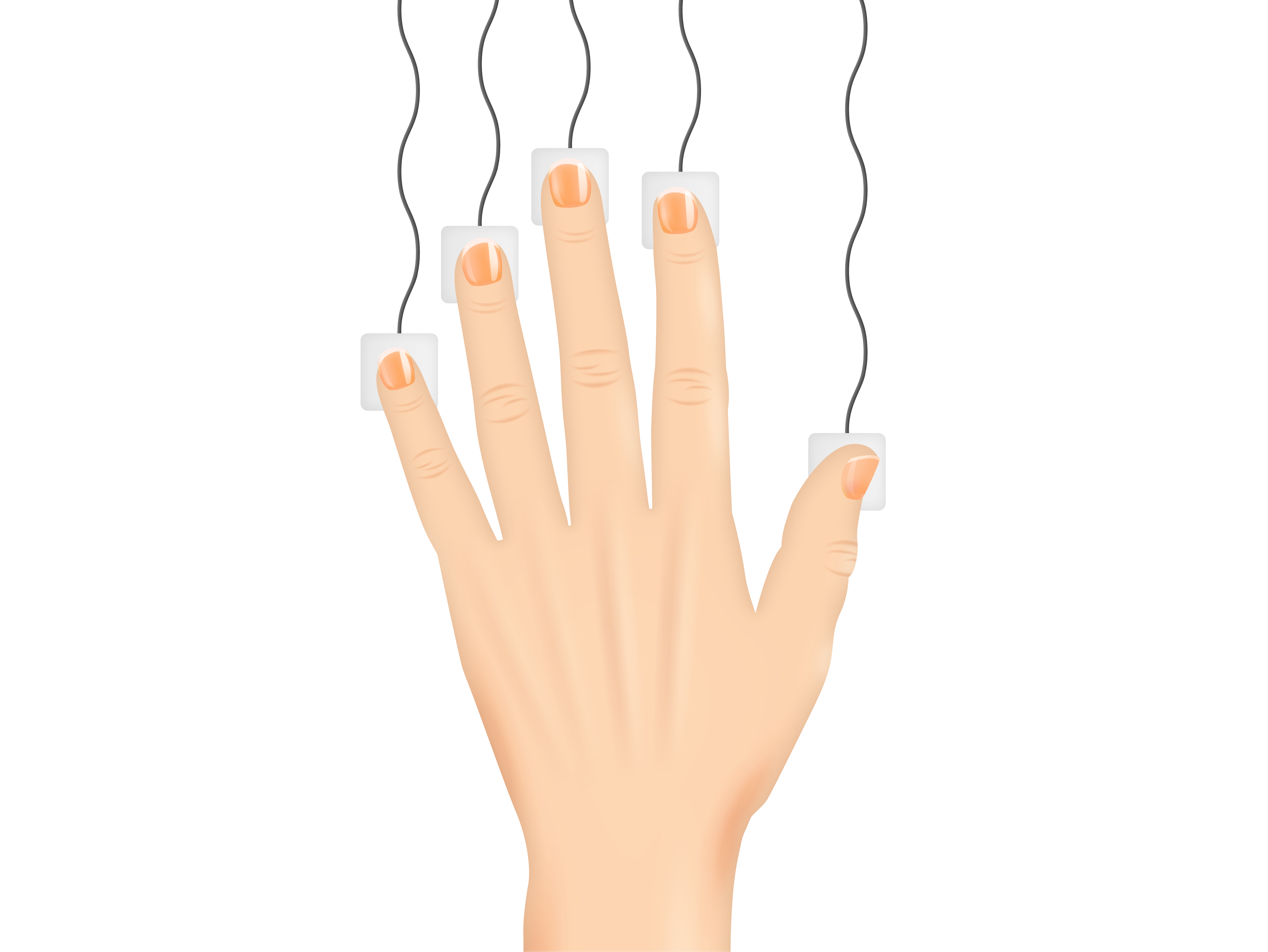 Example of Hand Illustration for Dr. Firas Mawase