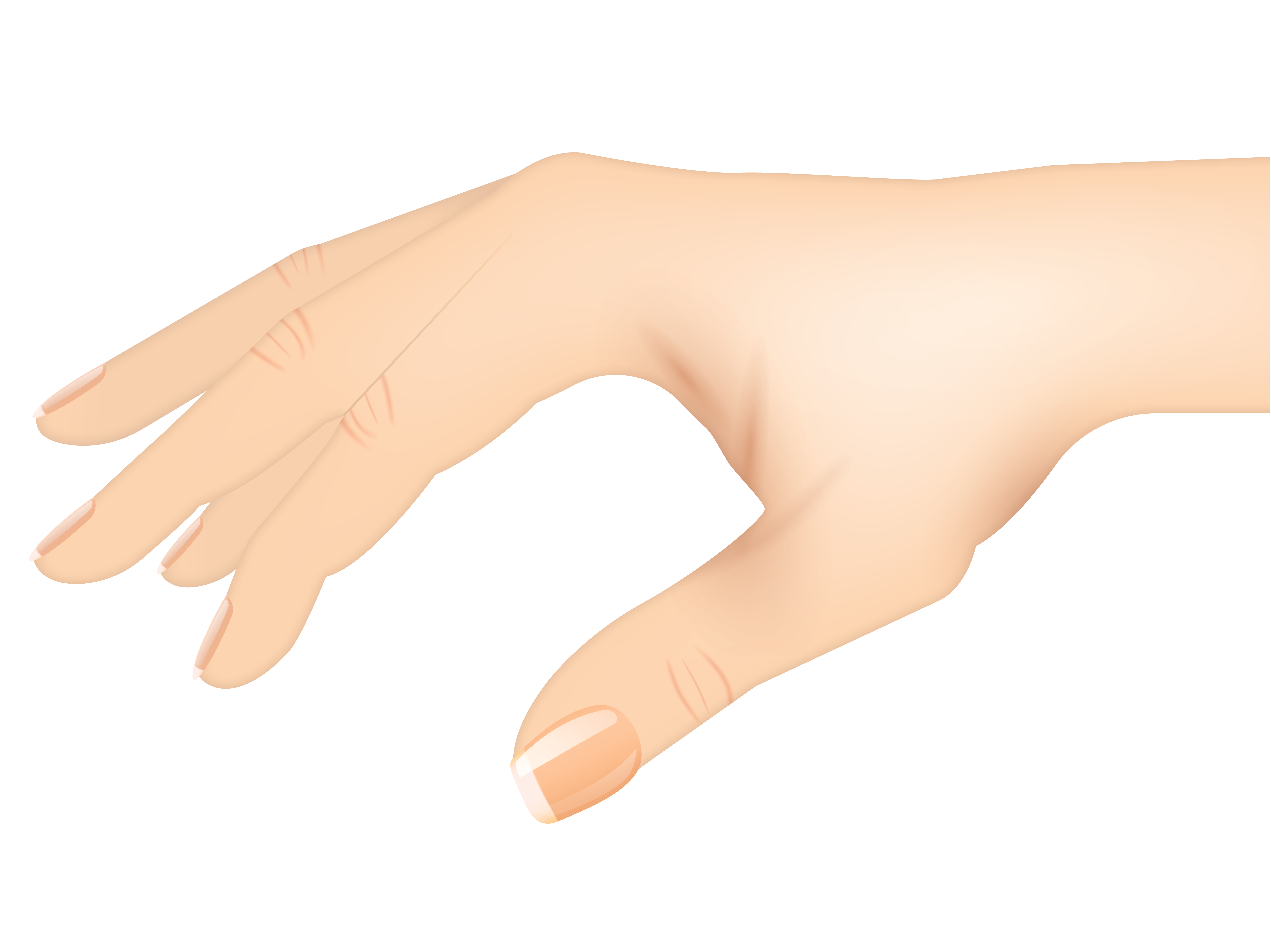 Example of Hand Illustration for Dr. Firas Mawase