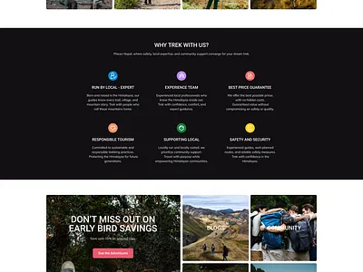Website Design branding graphic design ui ux