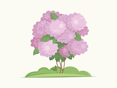 Hydrangea bloom botanical bush flora flower hortensia hydrangea illustration vector
