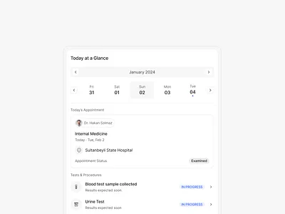 Daily Overview Card ui