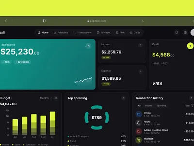 Flexxi - Finance dashboard for income and spending visualization dark interface dashboard design data visualization financial literacy fintech product design saas ui design user experience web design