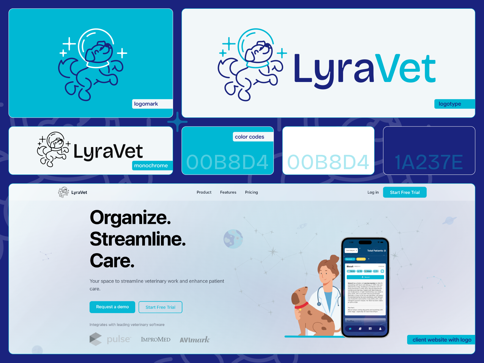 Example of Visual Identity.Branding (3 Logo Option)