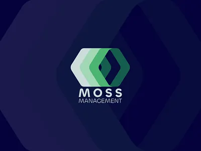 Geometric - Abstract Brand Identity abstract brand design brand identity brand logo branding brandmark business design geometry identity identity design logo logo design logomark logotype loog lgoo lgo management modern visual identity