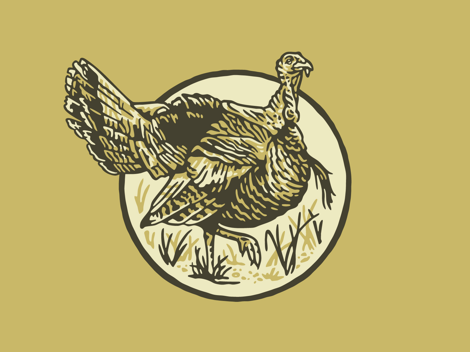 Example of Amigo Turkey