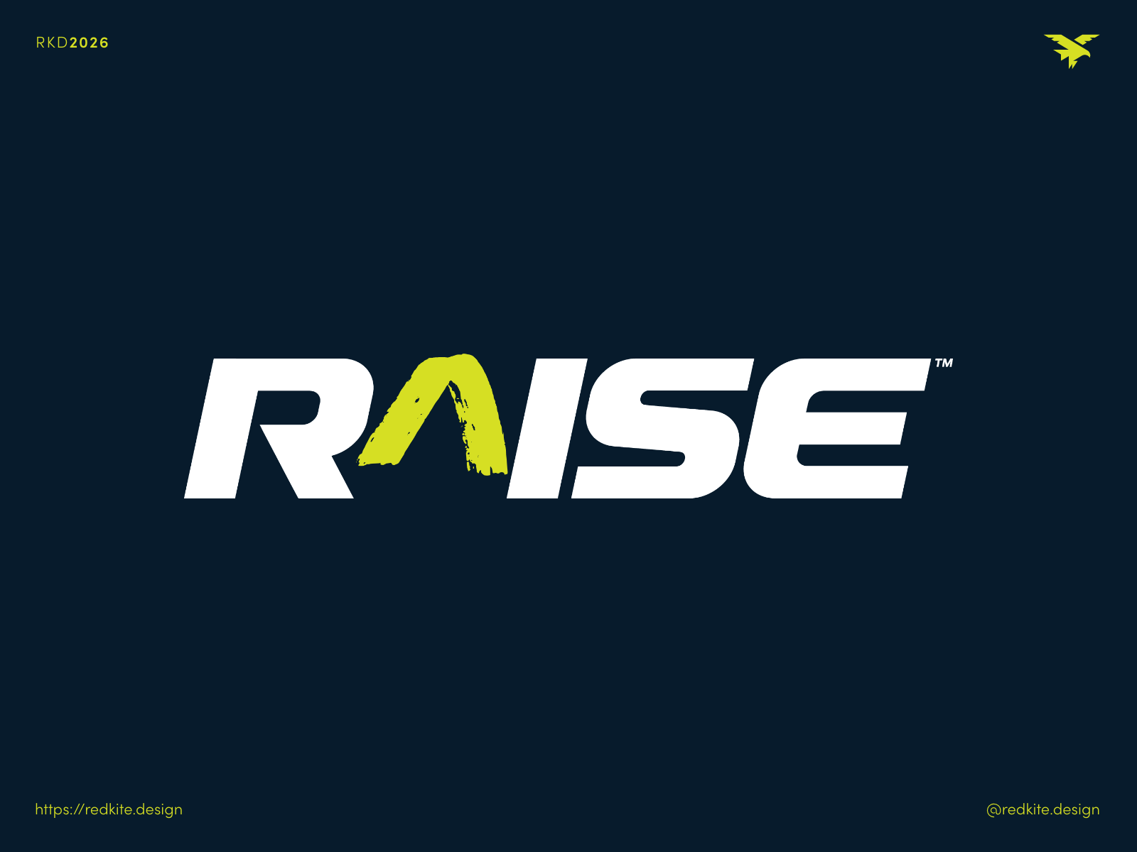 Logo and Branding for Raise Health
