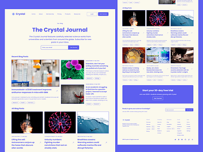 Crystal Journal Website Design app branding design figma graphic design illustration jounal logo mockup ui uiux ux vector website