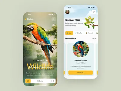 🐦 BirdWorld App – Modern Bird Watching & Wildlife Mobile App UI app app design app ui bird app bird watching exploration app ios app mobile mobile app mobile app design mobile ui modern app nature app ui ui design ui ux wildlife app