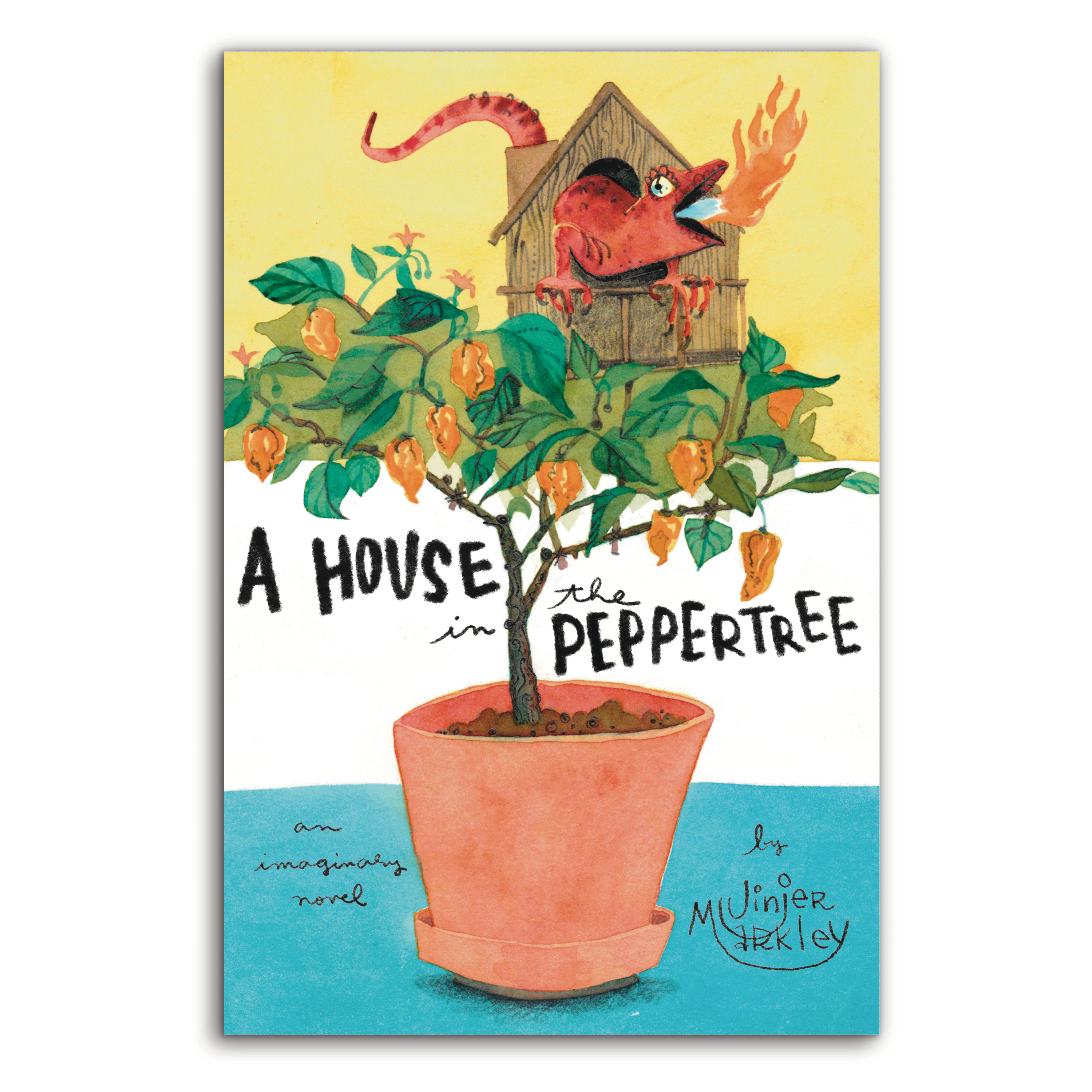 Example of Illustrated Booik Covers