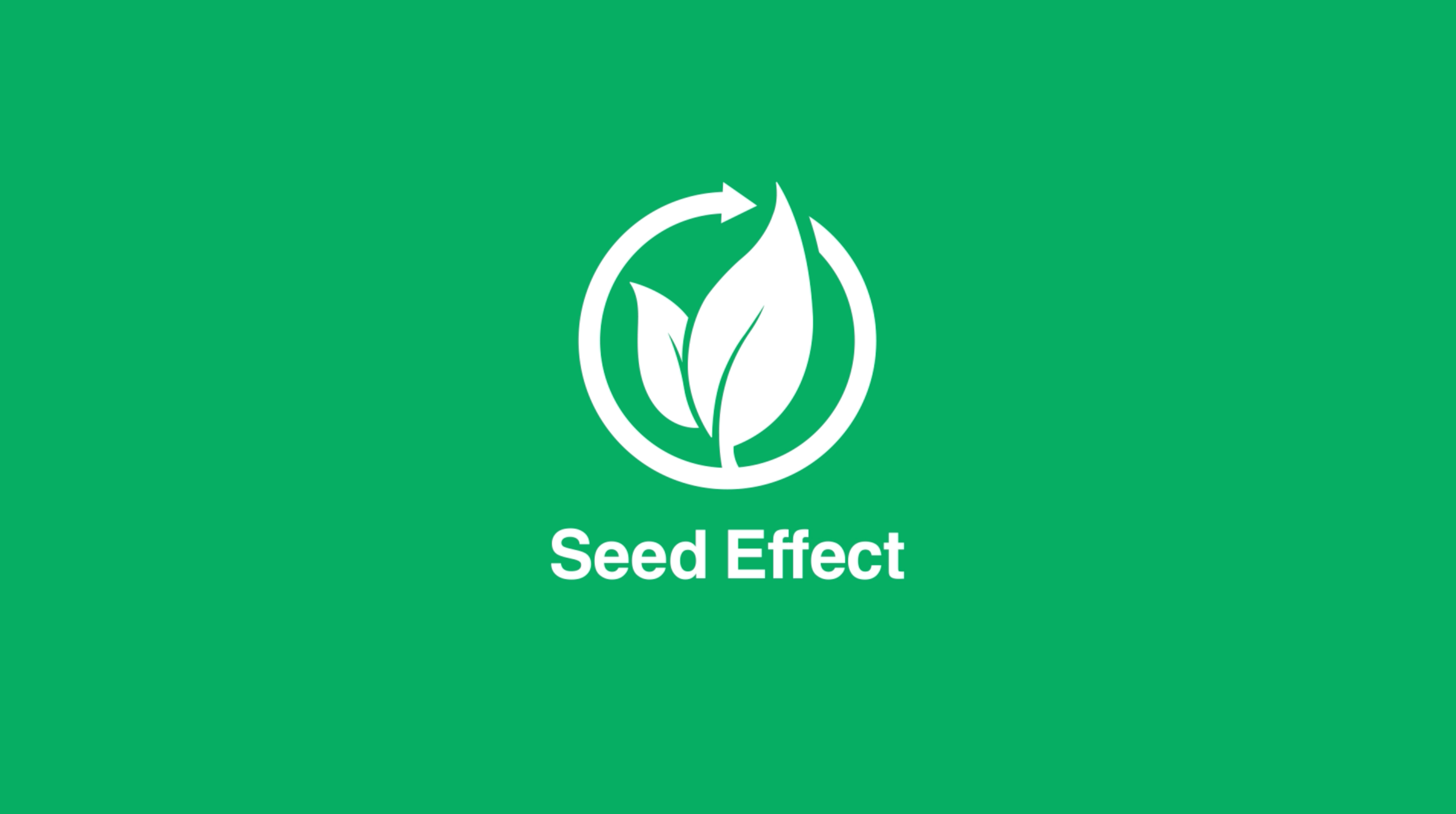 Seed Effect LOGO ANIMATION 2d animation animation effect grow leaf logo logo animation logo build motion graphics plant seed
