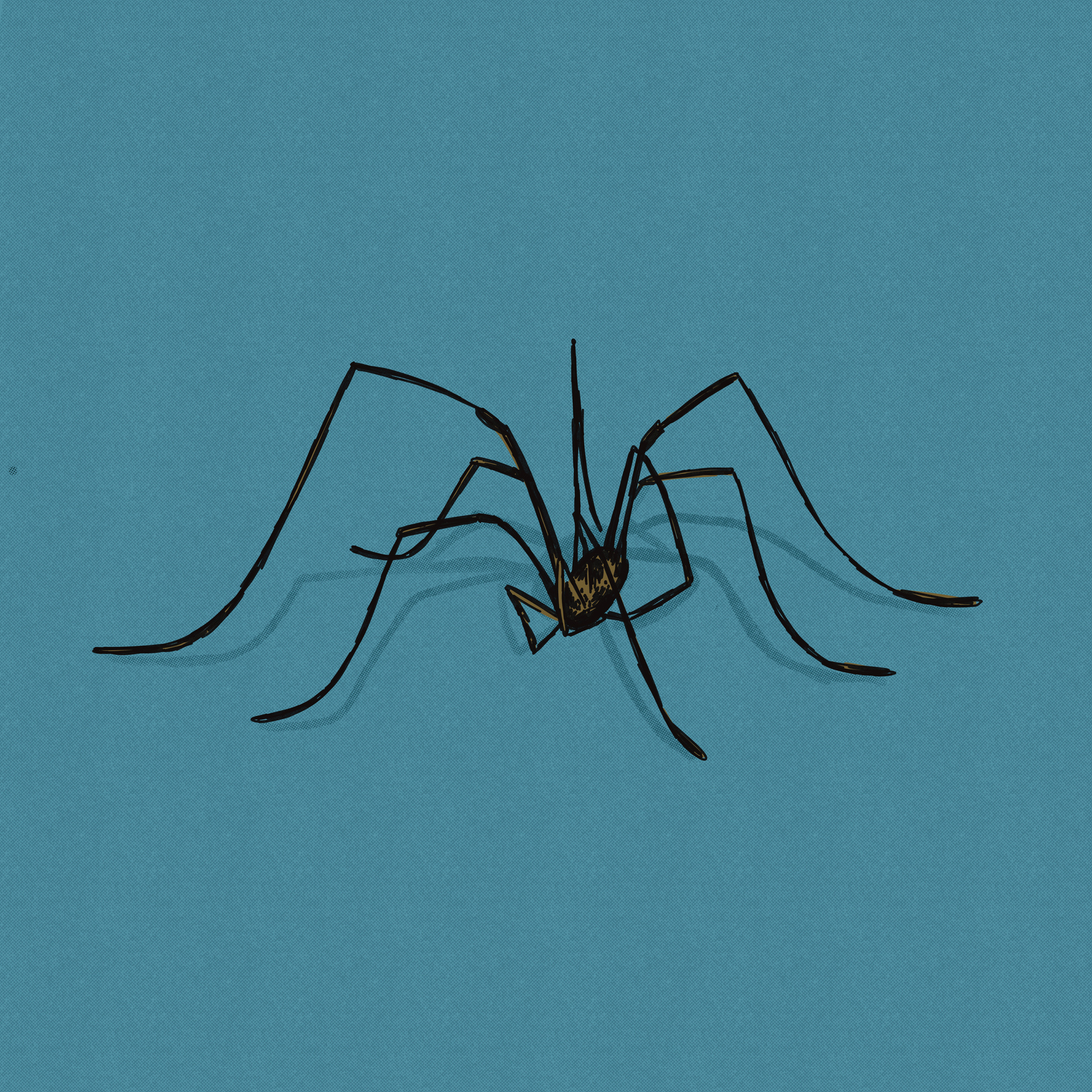 Daddy Long Leg Illustration arachnid bug crawler creepy daddy digital digital illustration gothic halloween illustration insect legs long scary spider