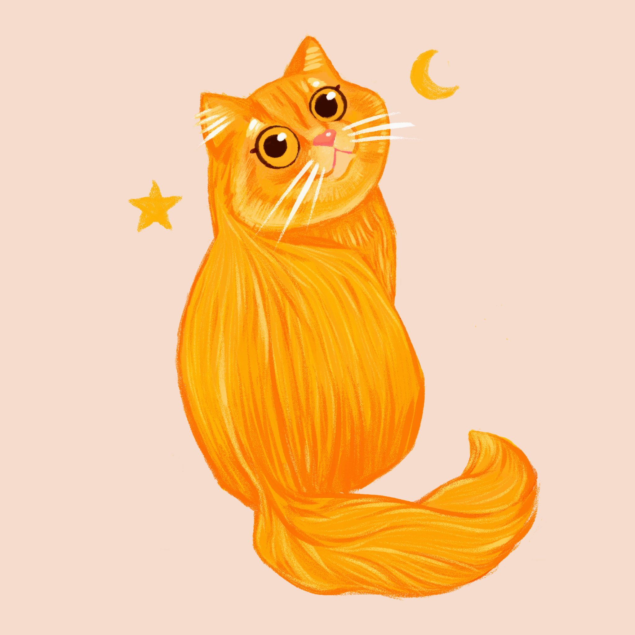 Ginger Cat Portrait animal cat character drawing ginger illustration orange pet portrait procreate