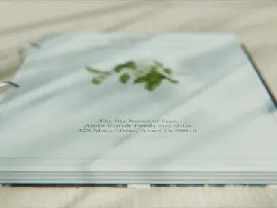 3D Book/Pdf Promo 3d blender book cinematic pdf promo