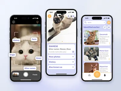 Cat Identifier App app branding design graphic design ui ux