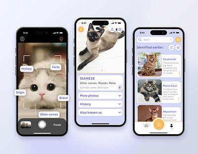 Cat Identifier App app branding design graphic design ui ux