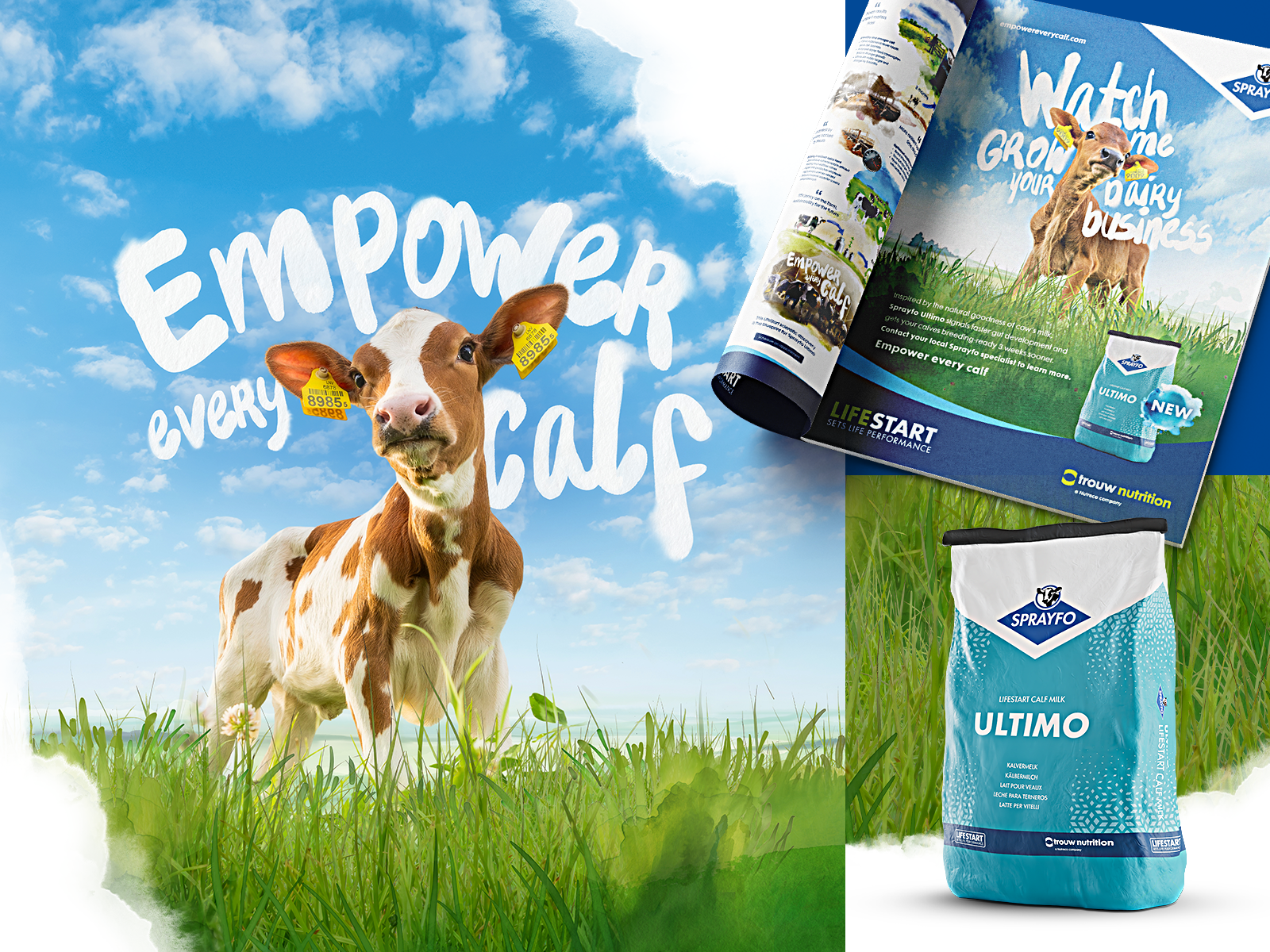Sprayfo Ultimo - Campaign Graphic Design Collaboration calf milk calf nutrition. campaign concept development cow dairy digital assets empower every calf farmers farming graphic design infographic key visual print materials sprayfo sprayfo ultimo trouw trouw nutrition
