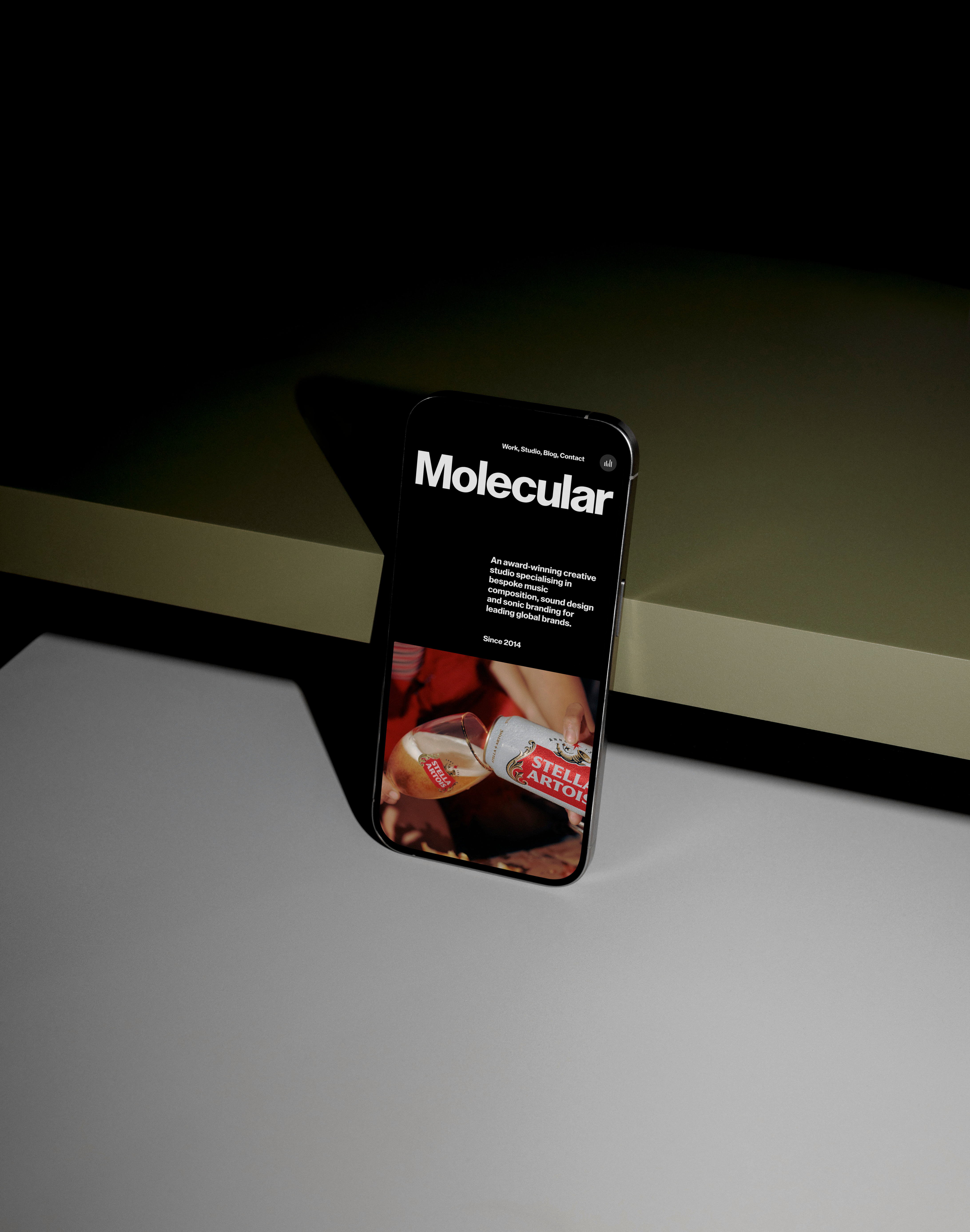 Example of (5) Pages Website Design