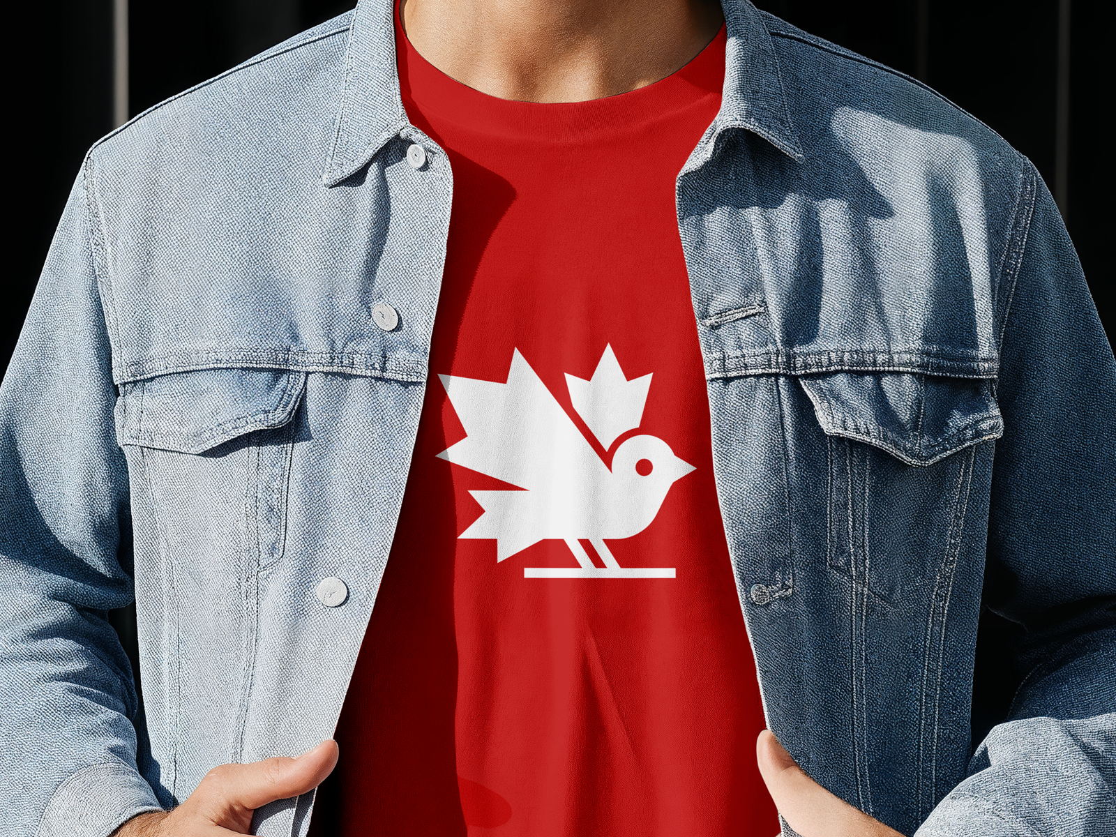 Canadian bird logo bird bird logo brand brand design brand designer branddesigner branding branding design branding designer brandingdesign canada canadian logo logo design logo designer logodesign logodesigner logotype maple maple leaf