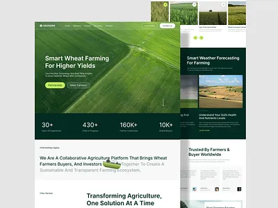 Wheat Farmers Website agriculture agriculture website agro website agtech creative design eco green farm website farmers landing page farmers website investor website landing page minimal design minimal landing page organic farm smart farming website design wwheat farmers