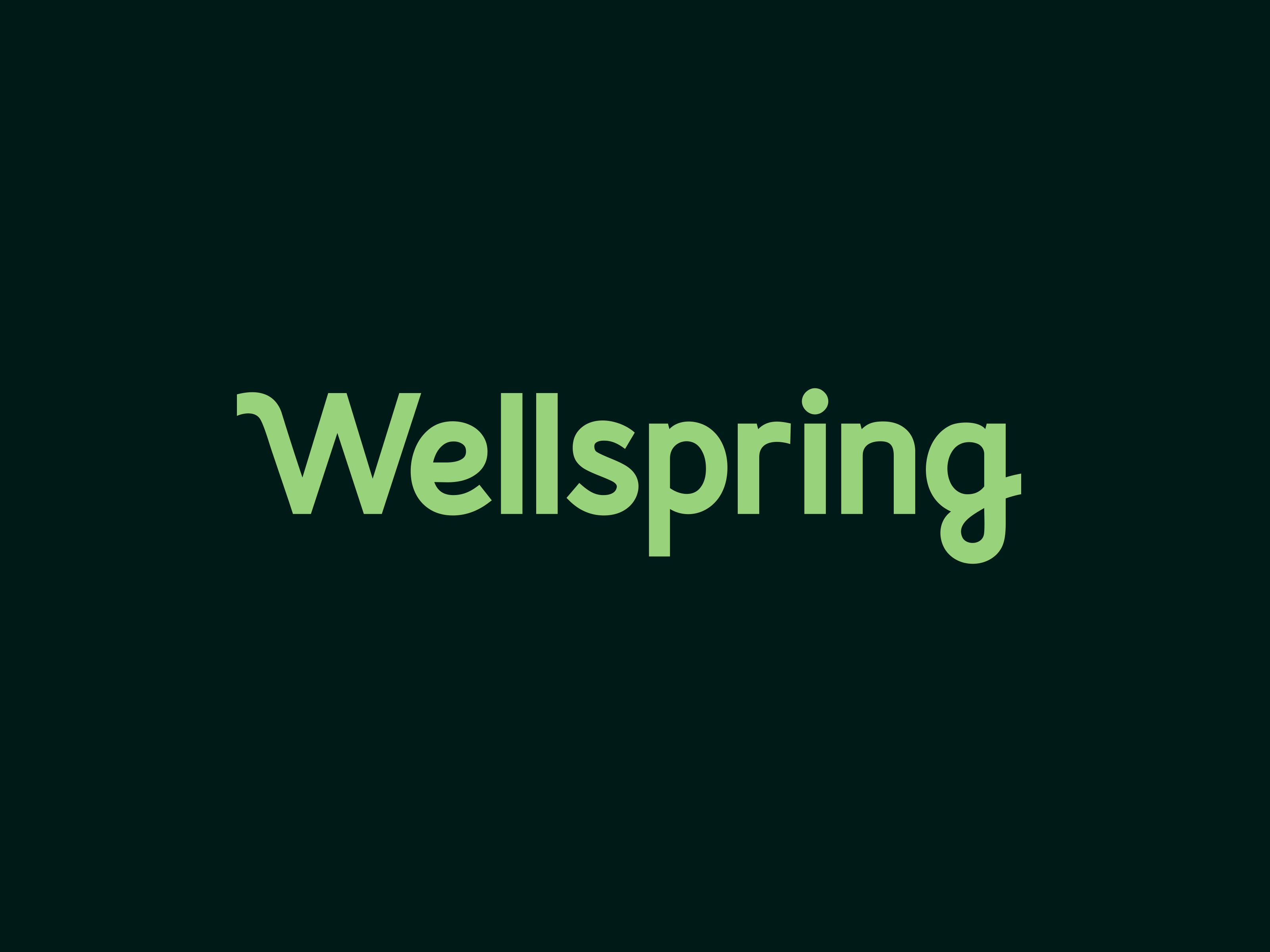Example of Text Logo / Wordmark Design Service