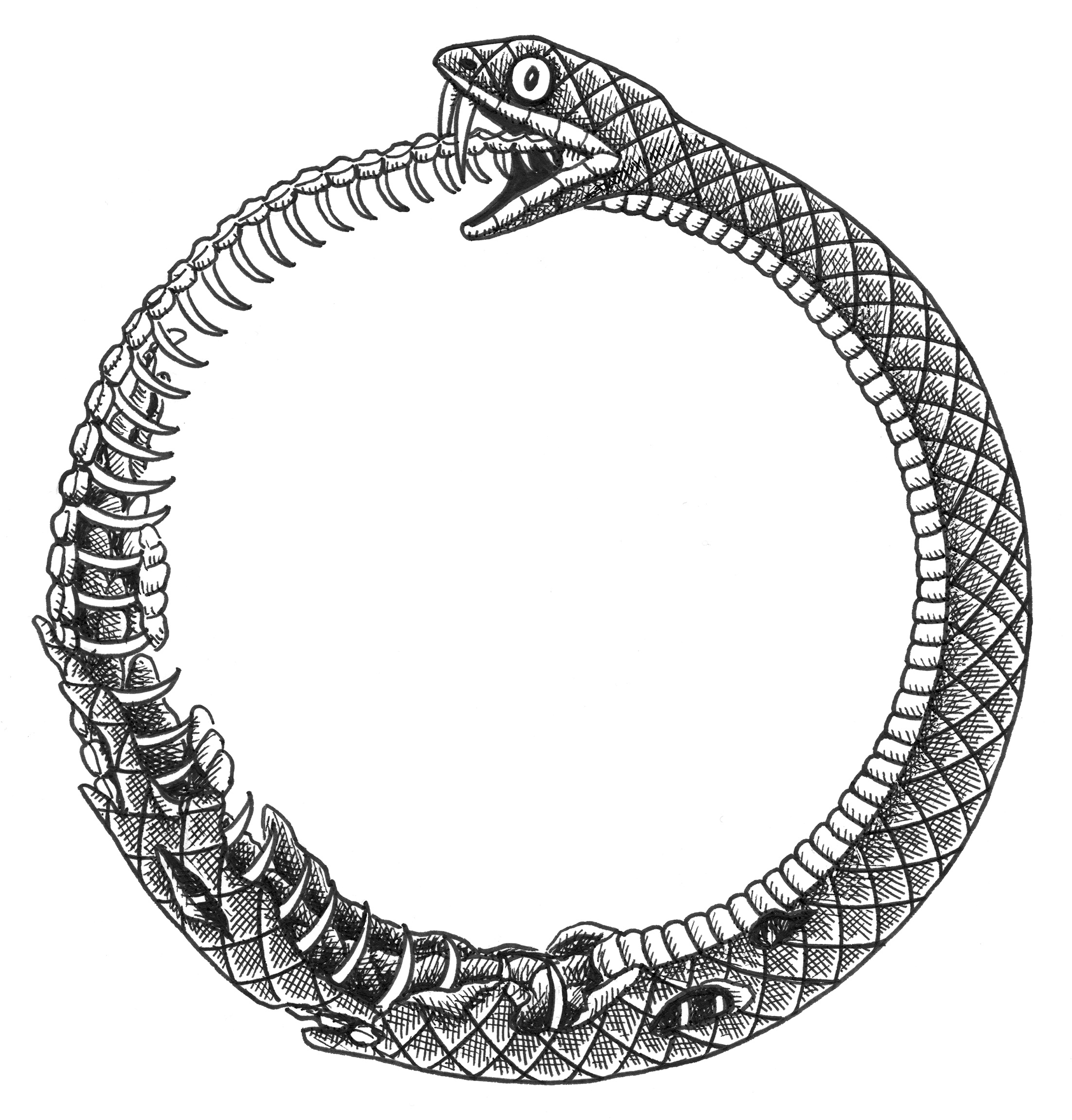Ouroboros animals art artist artwork drawing hand drawn illustration ink snake