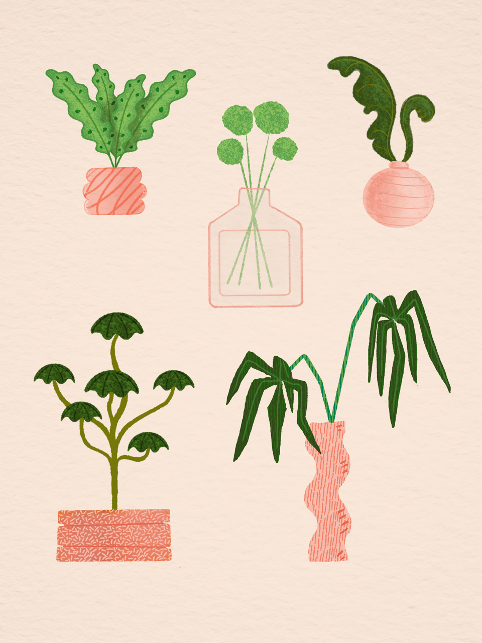 Houseplants spot illustrations - greetings card design cosy custom icons drawing editorial illustration flora flowerpots green handdrawing handdrawn handdrawn icons houseplants icons illustration illustrator orange orange green plants plants icons procreate spot illustration