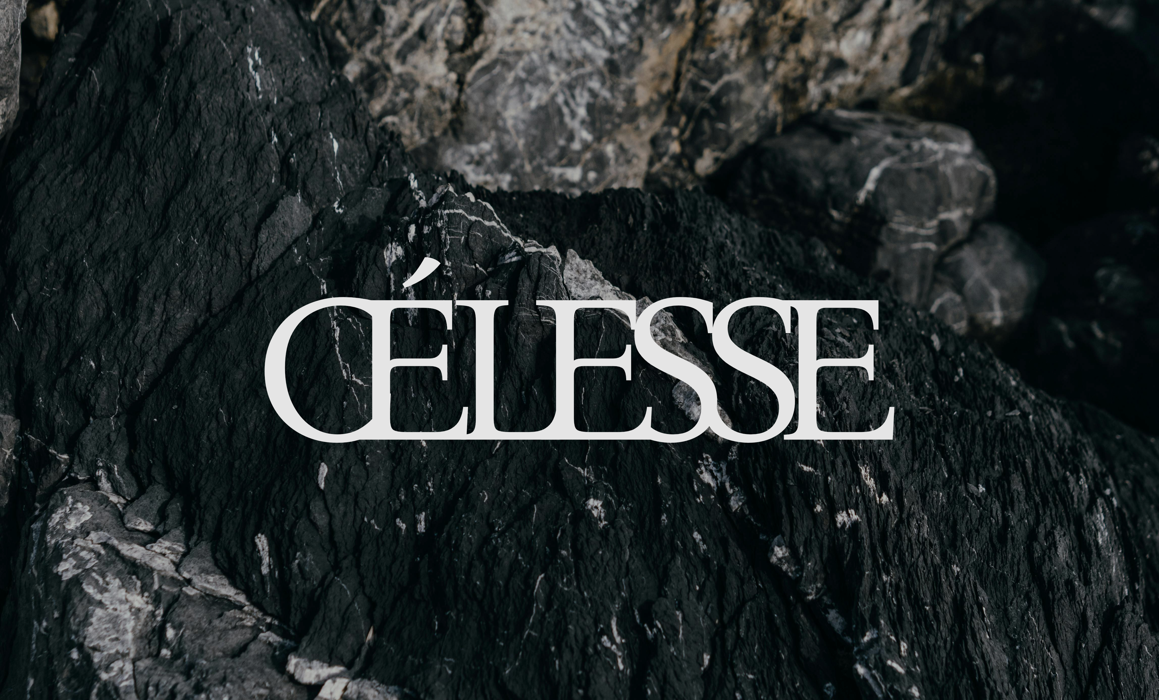 Example of Brand Identity For Next Gen Brands